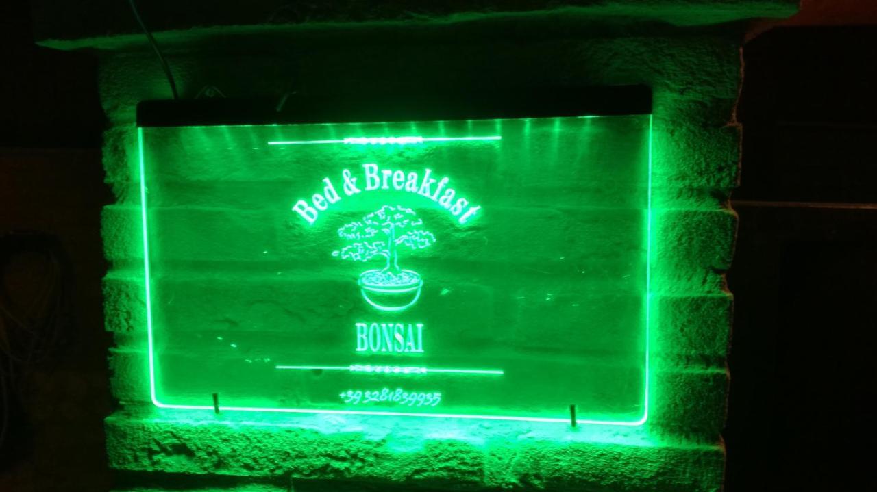 Bonsai Bed & Breakfast Фьюмичино Номер фото